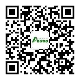 177580848447136