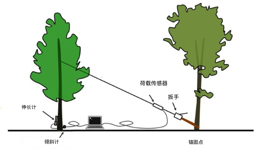 开云kaiyun电竞·(中国区)官方网站